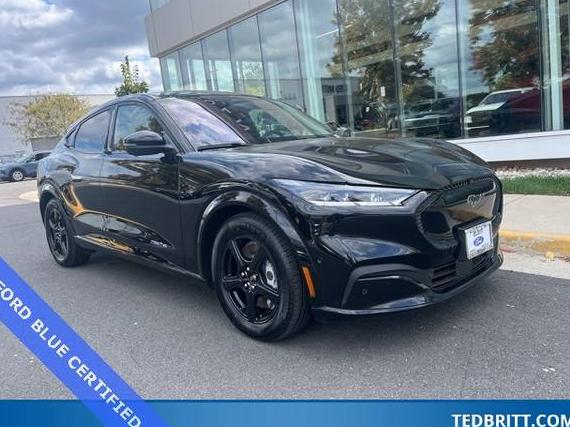 FORD MUSTANG MACH-E 2022 3FMTK2SU3NMA41709 image